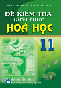 Đề kiểm tra kiến thức Hoá học 11