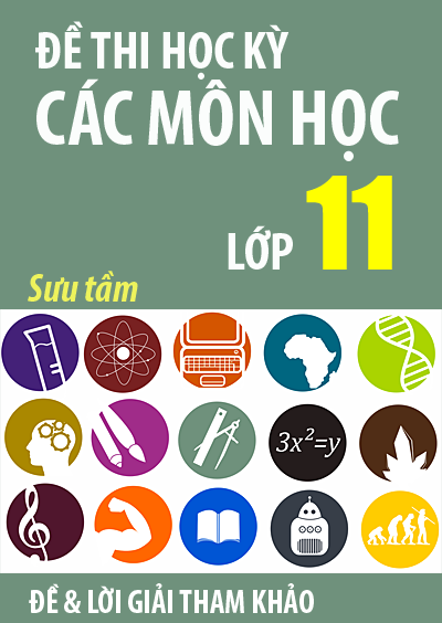 Tuyển tập đề thi học kỳ các môn học lớp 11